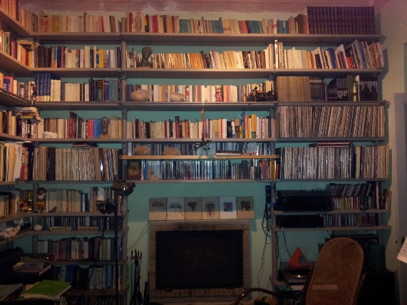 my library 1.jpg