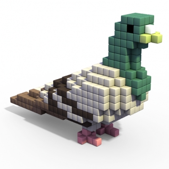 pidgeon.jpg