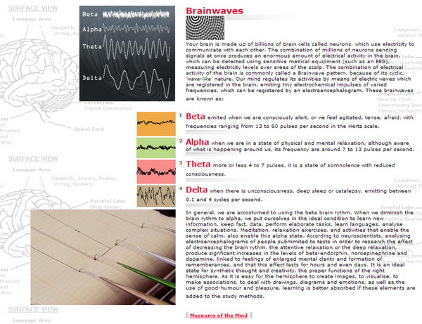 Brainwaves  Beta ~ Alpha ~ Theta ~ Delta.jpg