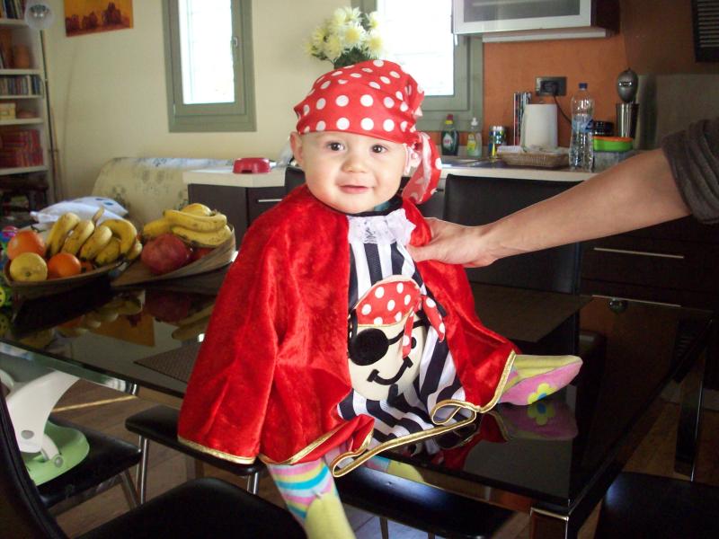 pirate_babis.jpg