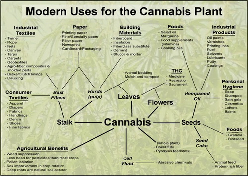 hcfuf_modern-uses_hemp_small.jpg